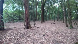 Fazenda / Sítio / Chácara à venda, 30000m² no Chacaras Araguaia, Valparaíso de Goiás - Foto 3