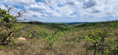 Fazenda / Sítio / Chácara à venda, 20000m² no Zona Rural, Baldim - Foto 15