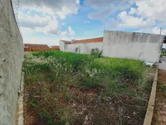 Terreno / Lote / Condomínio à venda, 250m² no Parque dos Lagos, Ribeirão Preto - Foto 3