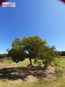 Casa com 4 Quartos à venda, 450m² no Zona Rural, Sarapuí - Foto 38