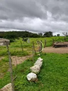 Fazenda / Sítio / Chácara à venda, 6534000m² no Centro, Alto Paraíso de Goiás - Foto 4