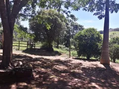 Fazenda / Sítio / Chácara à venda, 170000m² no Zona Rural, Passa Tempo - Foto 6