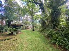 Terreno / Lote / Condomínio à venda, 5040m² no Vila Luiza, Canela - Foto 6