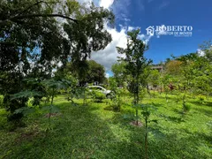 Fazenda / Sítio / Chácara com 2 Quartos à venda, 1900m² no Praiamar, Serra - Foto 28