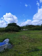 Fazenda / Sítio / Chácara com 3 Quartos à venda, 5000m² no Zona Rural, Monte Alegre - Foto 11
