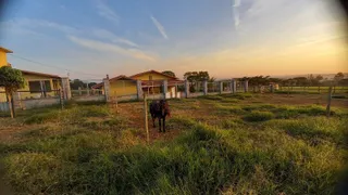 Fazenda / Sítio / Chácara com 3 Quartos à venda, 80m² no Serra Azul, Mateus Leme - Foto 3