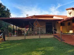 Fazenda / Sítio / Chácara com 3 Quartos à venda, 5000m² no Conjunto Habitacional Jardim das Palmeiras, Ribeirão Preto - Foto 2