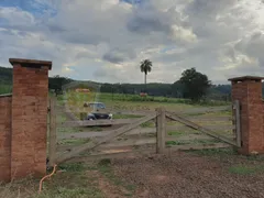 Fazenda / Sítio / Chácara com 2 Quartos à venda, 220m² no Bairro Rural, Rifaina - Foto 1