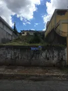 Terreno / Lote / Condomínio à venda, 350m² no Vila Sônia, São Paulo - Foto 1