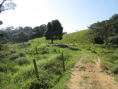 Fazenda / Sítio / Chácara com 3 Quartos à venda, 750200m² no Maraporã, Cachoeiras de Macacu - Foto 22