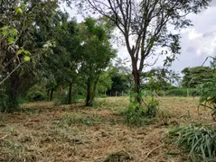 Fazenda / Sítio / Chácara à venda, 5000m² no Zona Rural, Ibiporã - Foto 9