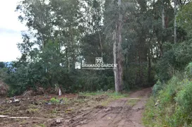 Fazenda / Sítio / Chácara à venda, 389500m² no Mato Queimado, Gramado - Foto 1