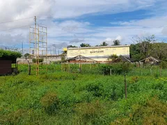 Terreno / Lote / Condomínio à venda, 40000m² no Jarí, Maracanaú - Foto 7