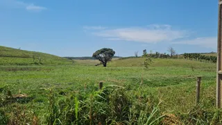 à venda, 40000m² no Parque Industrial, Viana - Foto 1