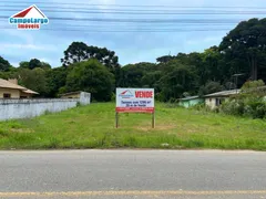 Terreno / Lote / Condomínio à venda, 1299m² no Botiatuva, Campo Largo - Foto 1