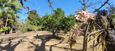 Fazenda / Sítio / Chácara com 4 Quartos à venda, 250m² no Gandé, Magé - Foto 18