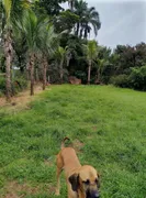 Fazenda / Sítio / Chácara com 2 Quartos à venda, 170000m² no Zona Rural, Monte Alegre de Minas - Foto 6