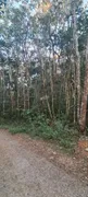 Terreno / Lote / Condomínio à venda, 3600m² no Condominio Meu Recanto, Embu das Artes - Foto 14