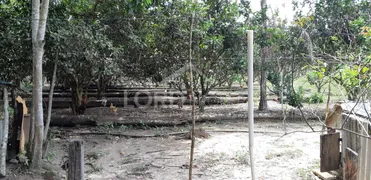 Fazenda / Sítio / Chácara com 3 Quartos à venda, 850000m² no Zona Rural, Campo Verde - Foto 28