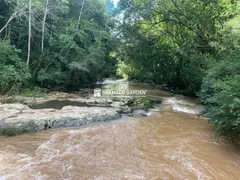 Fazenda / Sítio / Chácara à venda, 30000m² no Mato Queimado, Gramado - Foto 2