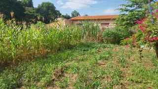 Fazenda / Sítio / Chácara com 1 Quarto à venda, 50m² no BELA VISTA, Elias Fausto - Foto 1