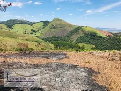 Terreno / Lote / Condomínio à venda, 5000m² no , Paty do Alferes - Foto 3