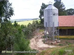 Fazenda / Sítio / Chácara com 4 Quartos à venda, 242000m² no Zona Rural, Itapetininga - Foto 3