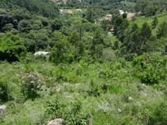 Fazenda / Sítio / Chácara com 1 Quarto à venda, 130m² no Centro, Toledo - Foto 51