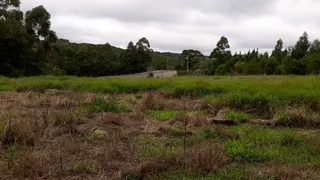 Fazenda / Sítio / Chácara com 5 Quartos à venda, 250m² no Area Rural de Capao Bonito, Capão Bonito - Foto 17