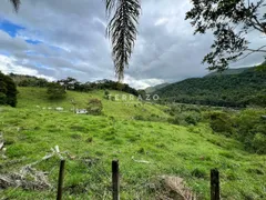 Fazenda / Sítio / Chácara com 6 Quartos à venda, 300m² no Ponte Nova, Teresópolis - Foto 4