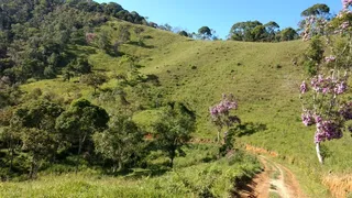 Fazenda / Sítio / Chácara com 3 Quartos à venda, 363000m² no Bairro Alto, Natividade da Serra - Foto 2