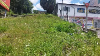 Terreno / Lote / Condomínio à venda, 300m² no Guabirotuba, Curitiba - Foto 4