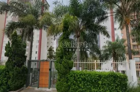 Apartamento com 3 Quartos à venda, 75m² no Jardim Antonio Von Zuben, Campinas - Foto 14