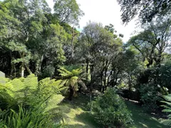 Casa com 3 Quartos à venda, 350m² no Lagos de Gramado, Gramado - Foto 37