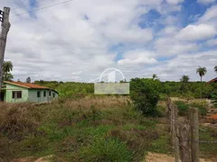 Fazenda / Sítio / Chácara à venda, 7000m² no , Inhaúma - Foto 6