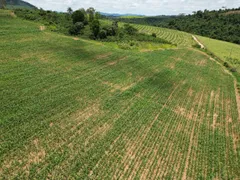 Fazenda / Sítio / Chácara com 4 Quartos à venda, 1350000m² no Zona Rural, Botelhos - Foto 13