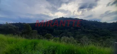 Terreno / Lote / Condomínio à venda, 1036m² no Serra da Cantareira, São Paulo - Foto 4