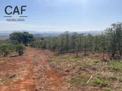 Fazenda / Sítio / Chácara com 4 Quartos à venda, 400m² no Zona Rural, Espírito Santo do Pinhal - Foto 13