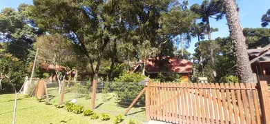 Casa com 5 Quartos à venda, 132m² no Jardim dos Pinheiros II, Canela - Foto 6