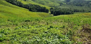 Fazenda / Sítio / Chácara com 2 Quartos à venda, 890000m² no Lagoinha, Tijucas do Sul - Foto 8