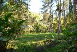 Fazenda / Sítio / Chácara com 5 Quartos à venda, 120000m² no Araras, Petrópolis - Foto 11