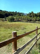 Fazenda / Sítio / Chácara com 2 Quartos à venda, 500m² no , Silva Jardim - Foto 13
