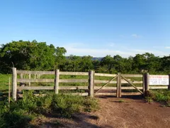 Fazenda / Sítio / Chácara com 1 Quarto à venda, 61000000m² no Vale do Sol, Campo Verde - Foto 23