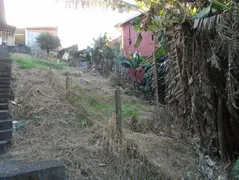 Fazenda / Sítio / Chácara com 2 Quartos à venda, 150m² no Serra da Cantareira, Mairiporã - Foto 15