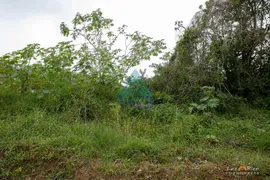 Terreno / Lote / Condomínio à venda, 482m² no Lagoinha, Ubatuba - Foto 2