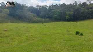 Fazenda / Sítio / Chácara com 2 Quartos à venda, 200m² no Zona Rural, Tuiuti - Foto 12