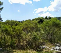 Terreno / Lote Comercial à venda no São Luiz, Caxias do Sul - Foto 1