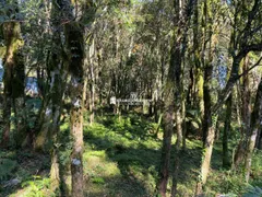 Terreno / Lote / Condomínio à venda, 802m² no Mato Queimado, Gramado - Foto 8