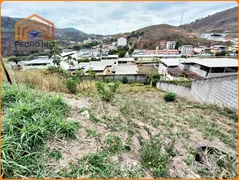Terreno / Lote / Condomínio à venda, 360m² no , Lima Duarte - Foto 3