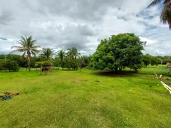 Terreno / Lote Comercial à venda, 7220m² no Vila Sao Jorge, São José do Rio Preto - Foto 4